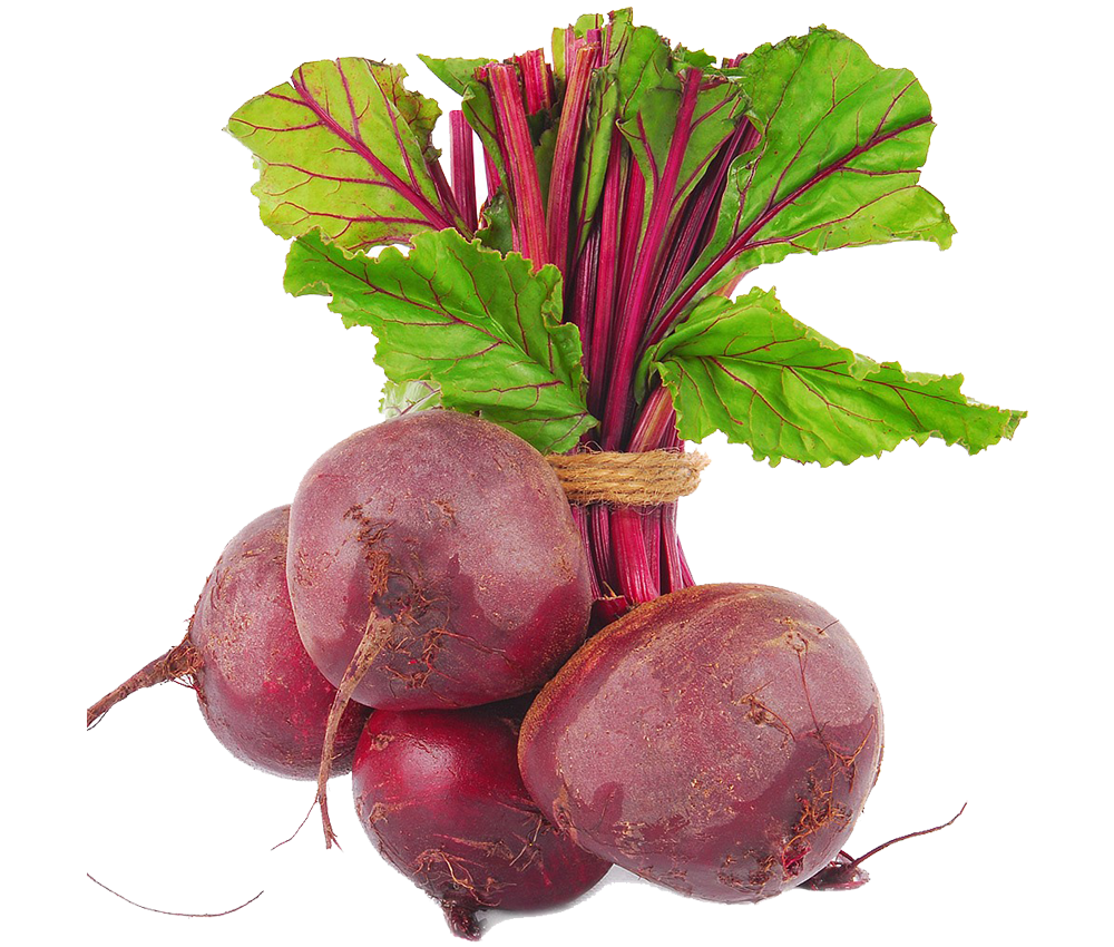 Beetroot-organic-livestock-and-crops