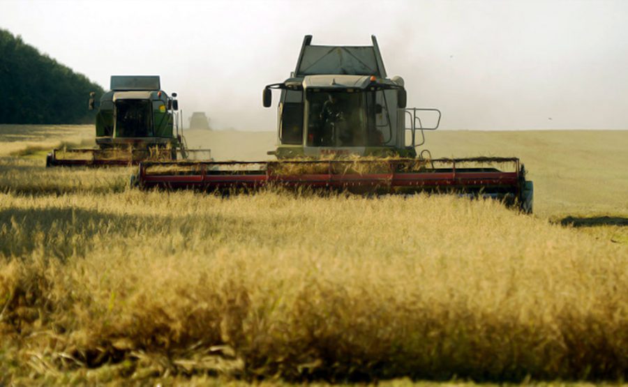 russia-organic-livestock-and-crops