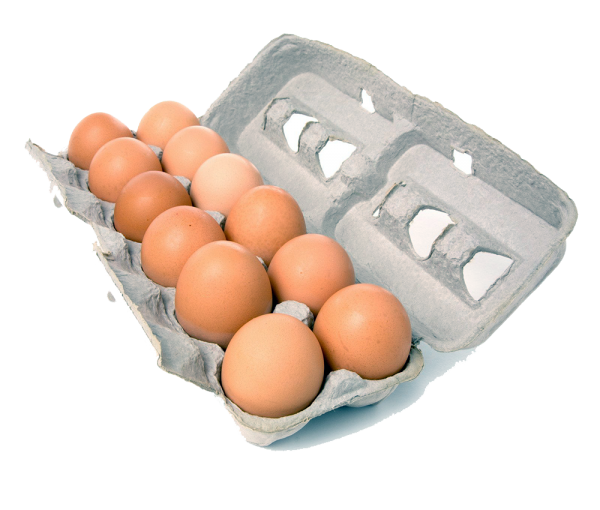 organic-egg-dozen
