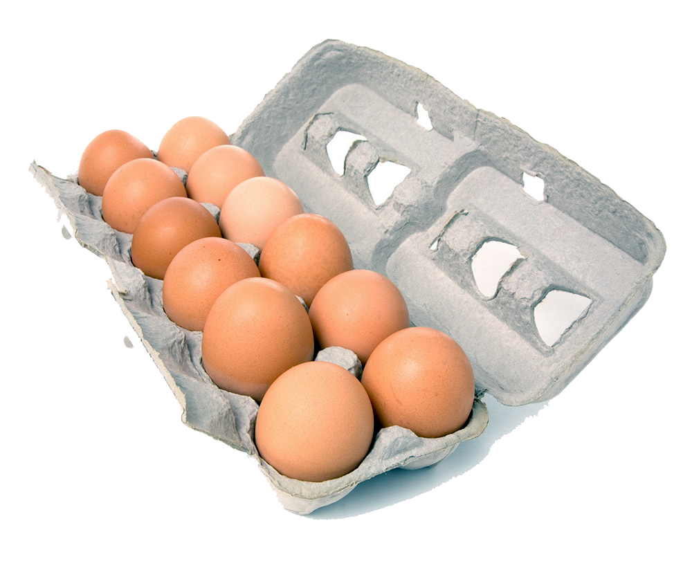 eggs-organic-livestock-and-crops-owners-association-of-nigeria