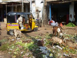 green-waste-organic-livestock-and-crops