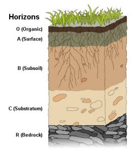 humus-organic-livestock-crops-owners-ass-nigeria