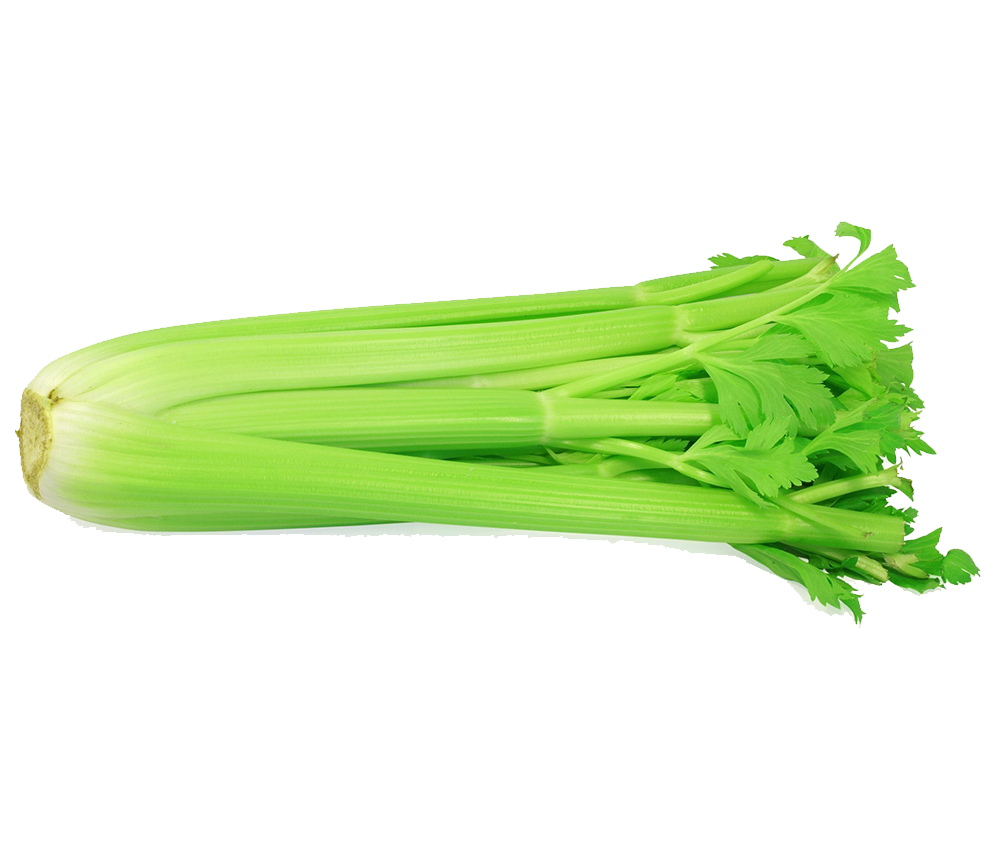 organic-celery
