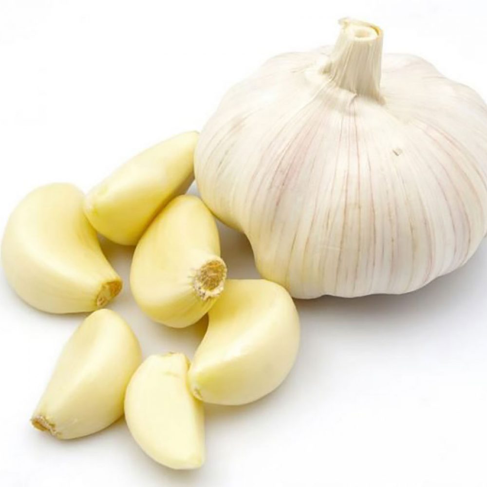 organic-garlic