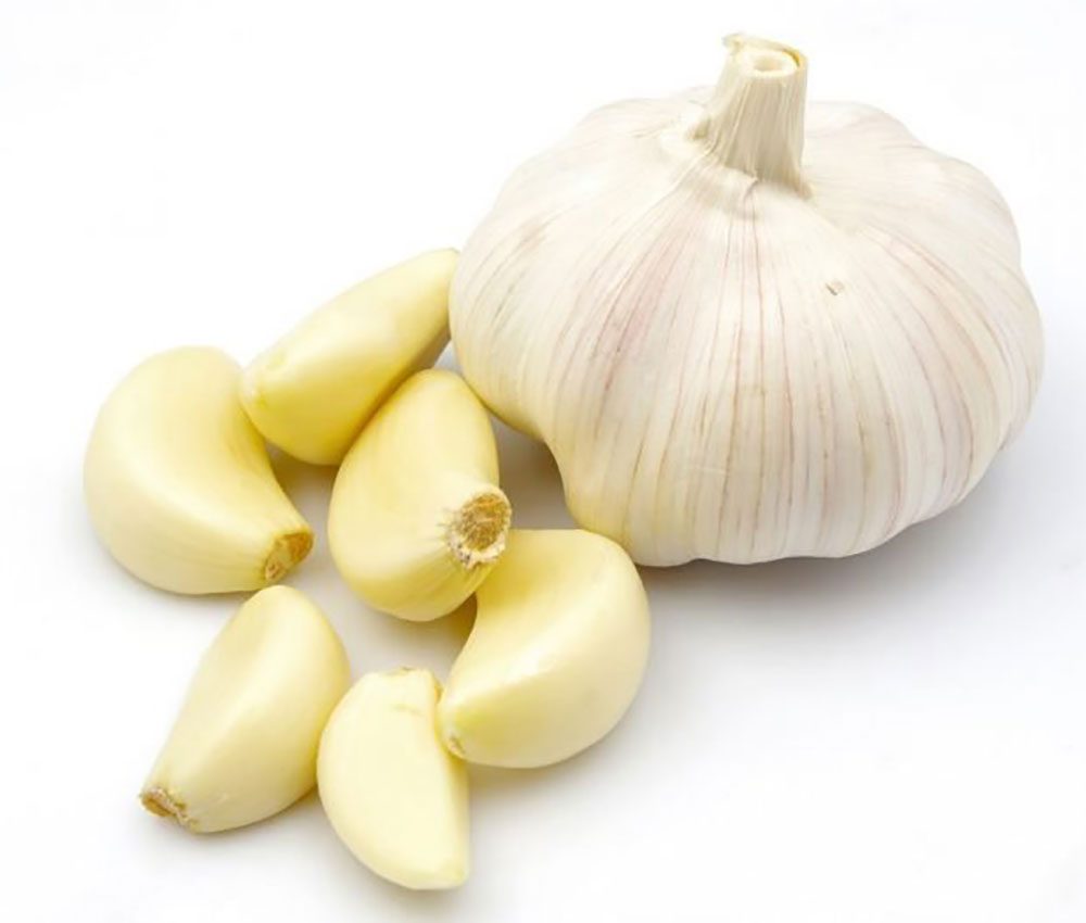 organic-garlic