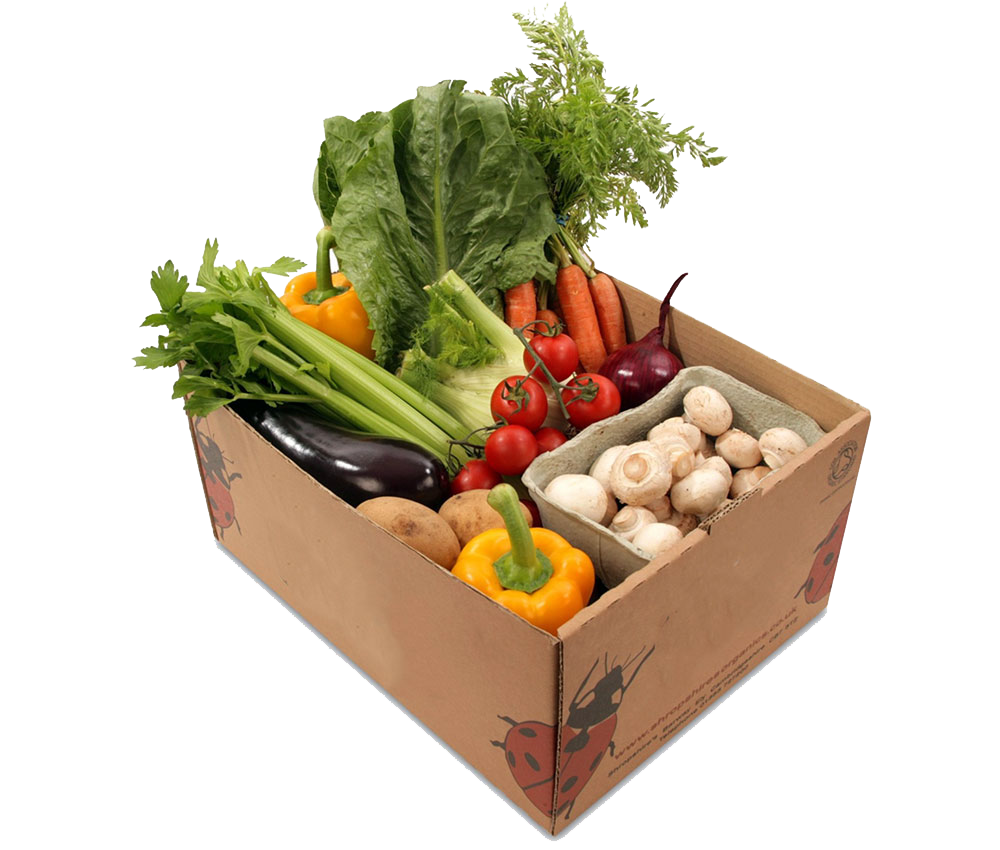 Meals_Veg_box-organic