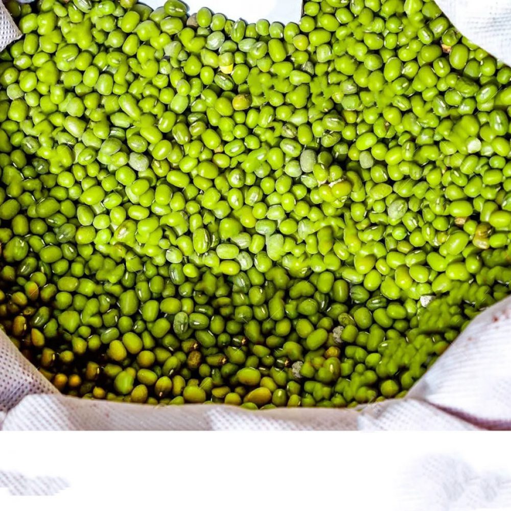 green-lentils-organic-food