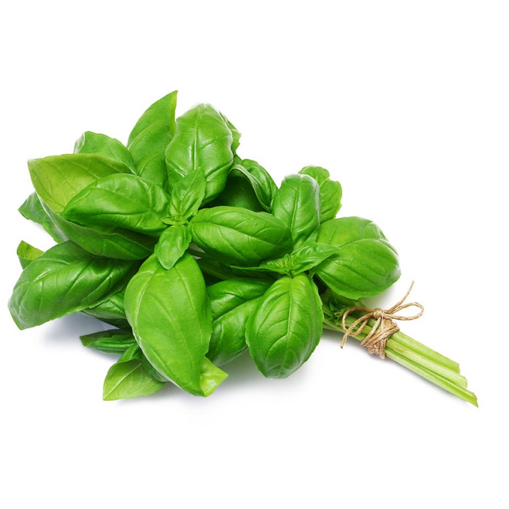 organic-basil