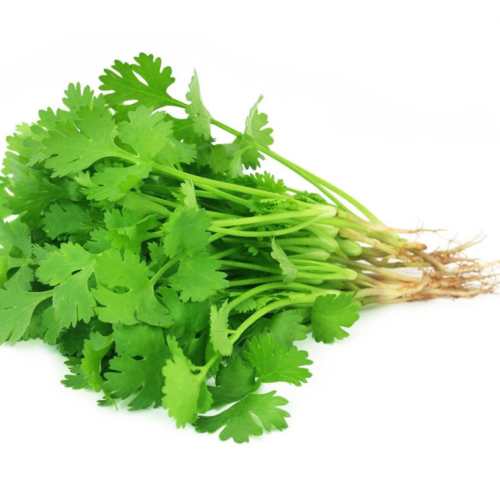 organic-coriander