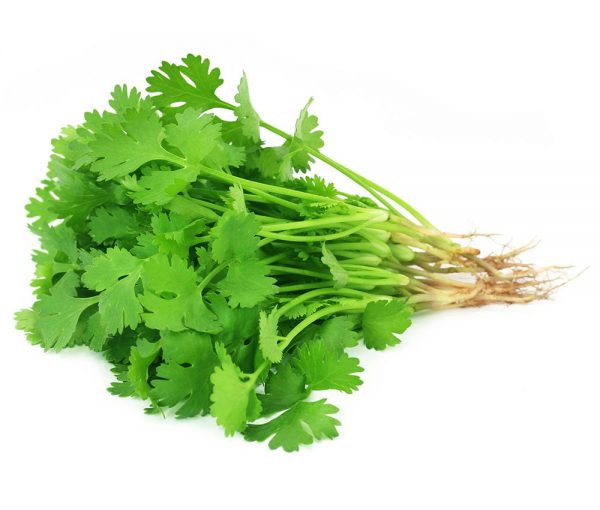 organic-coriander