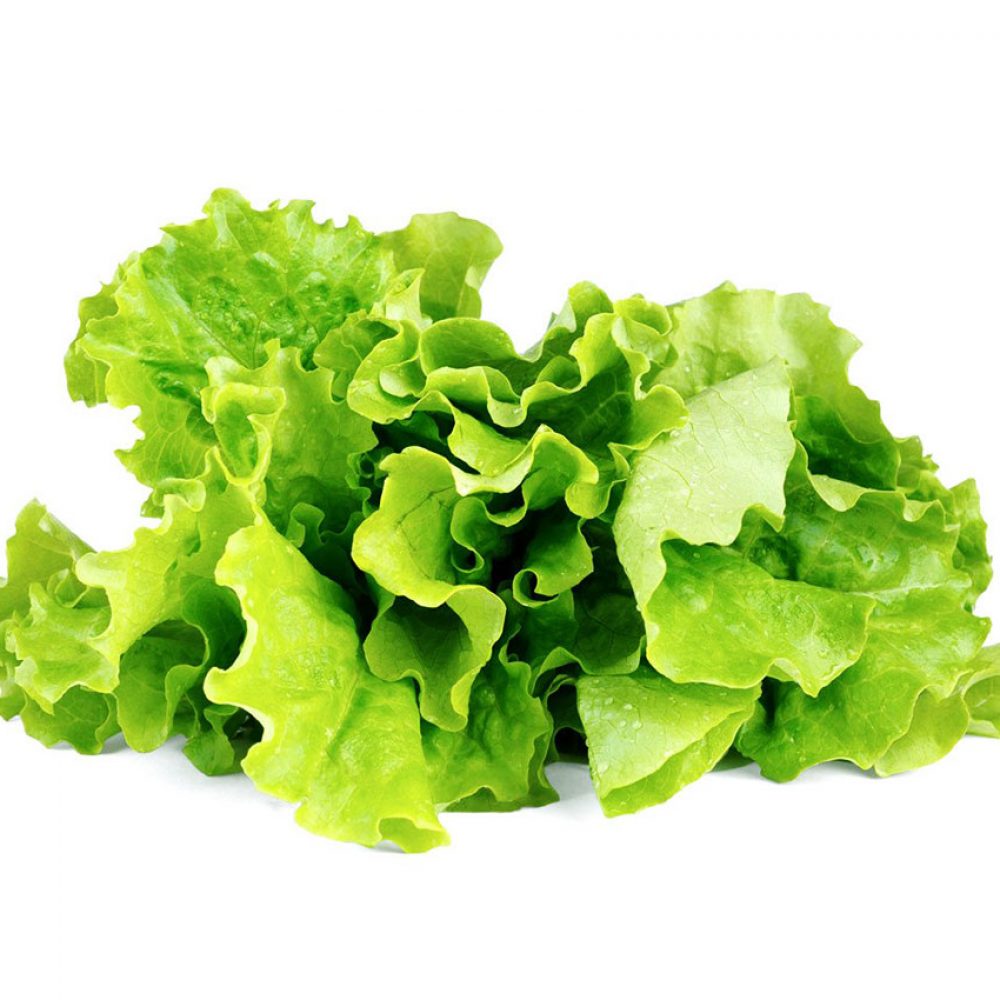 organic-lettuce