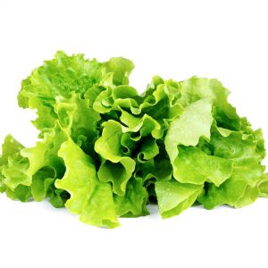 organic-lettuce-products