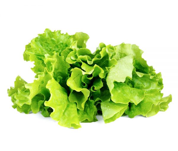 organic-lettuce-products