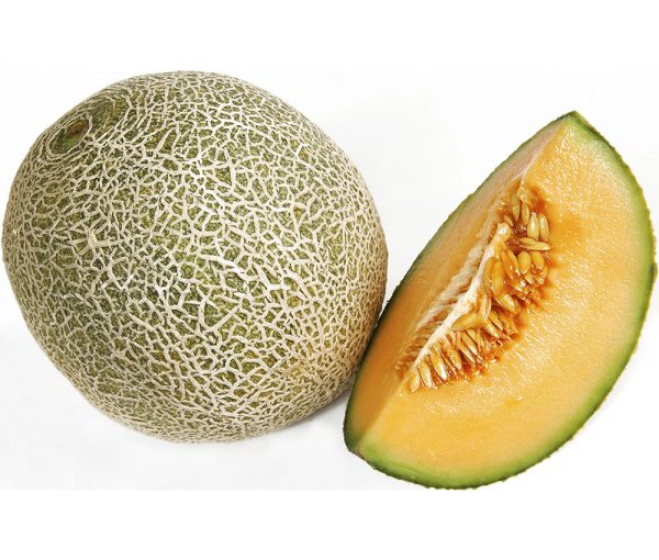 organic-melon