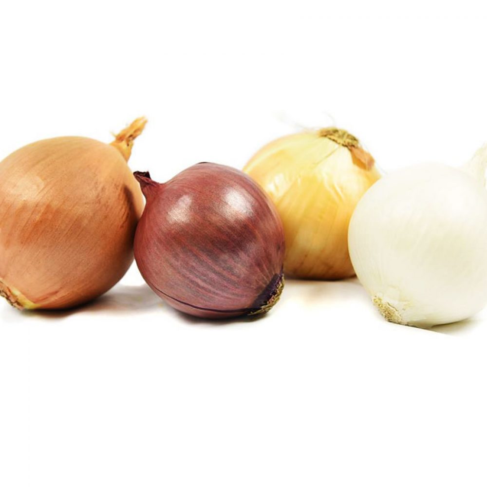 organic-onions