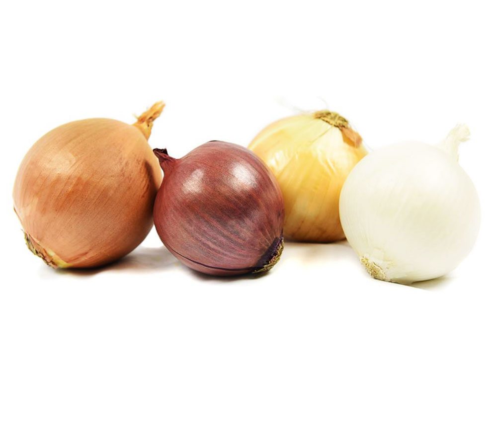 organic-onions