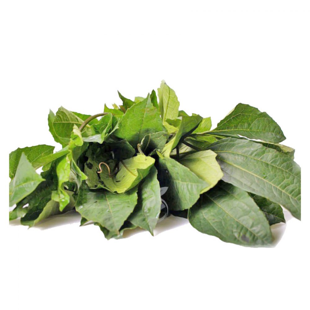 organic-ugwu-leaf