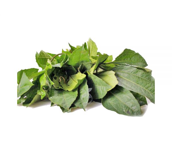 organic-ugwu-leaf