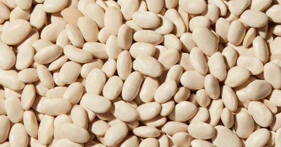 Cooked-White-Beans