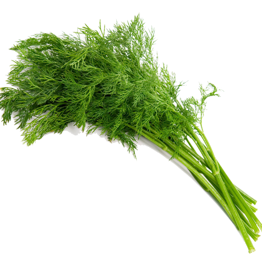 organic-dill