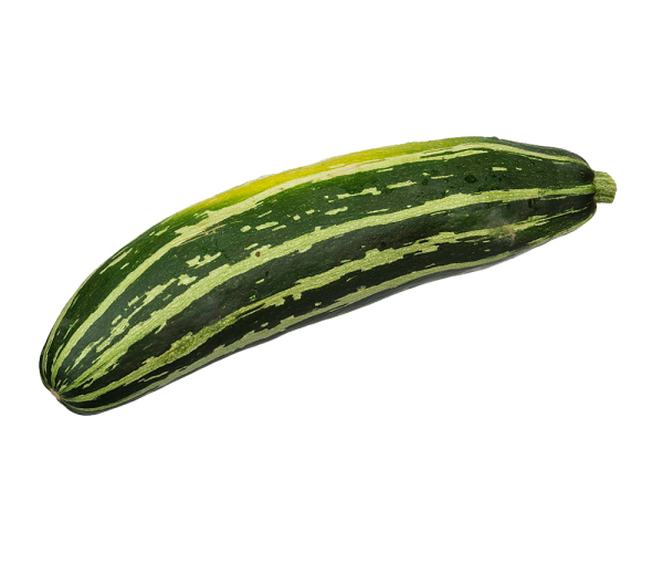 organic-zucchini