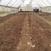 A Pilot Organic Farm at Nigerian Armed Forces Resettlement in Lagos