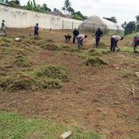 A Pilot Organic Farm at Nigerian Armed Forces Resettlement in Lagos