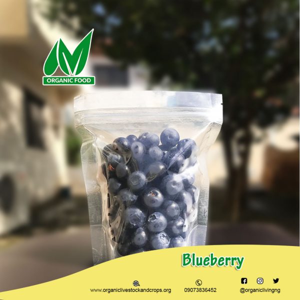 blueberry-organic-food