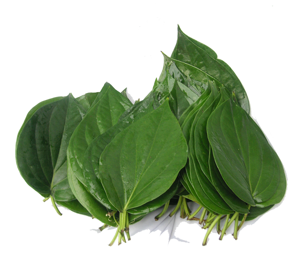 organic-bitter-leaf