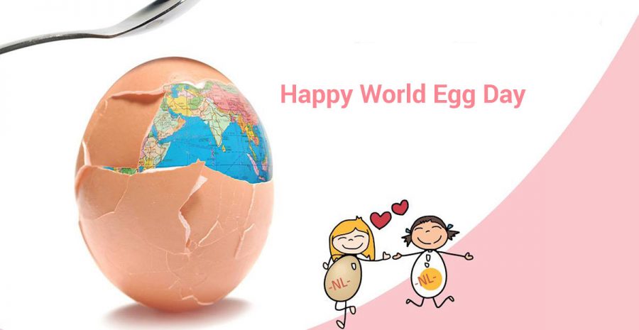 World-Egg-Day-World-organic