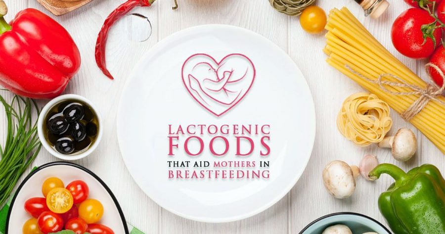 organic-lactogenic-food