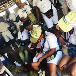 nysc-organic-saed-corpers