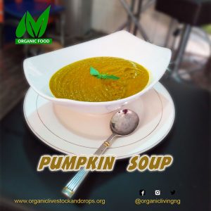 pumpkin-soup