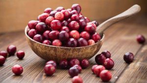 cranberries-organic-food