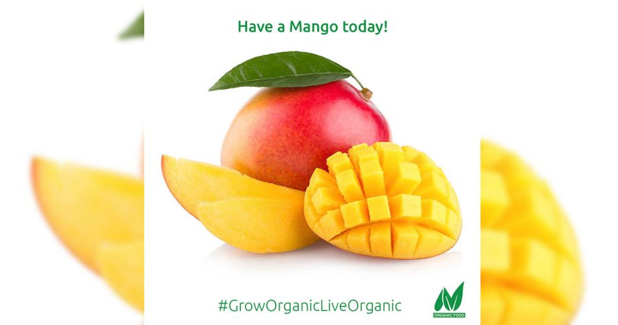 mango-monday