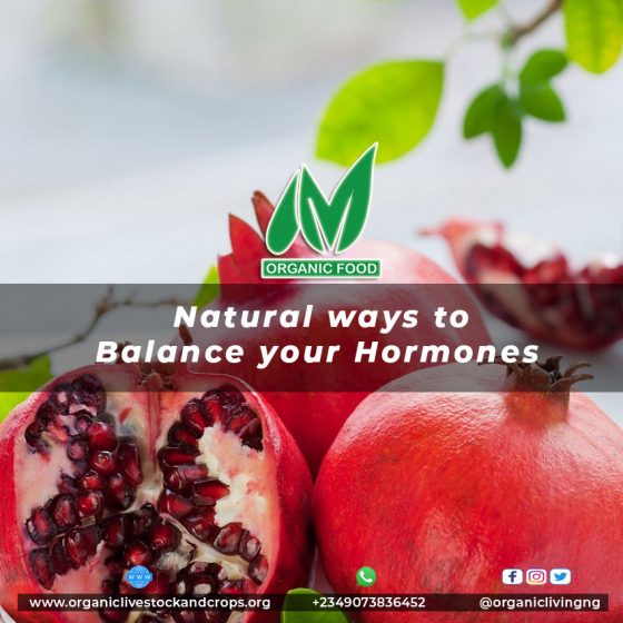 balance-hormone-organic-livestock-and-crops